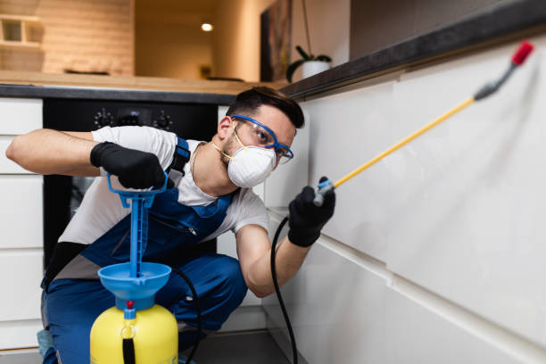 Best Ant Control Services  in Madison, IL