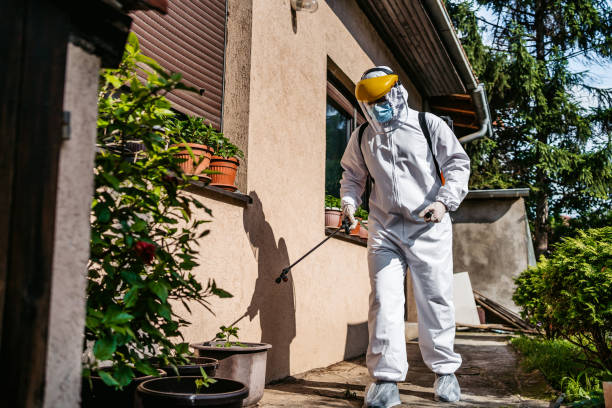 Best Best Pest Control Companies  in Madison, IL