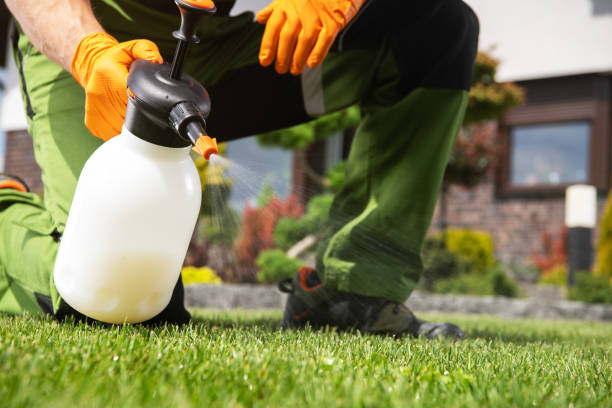 Best Bed Bug Extermination  in Madison, IL