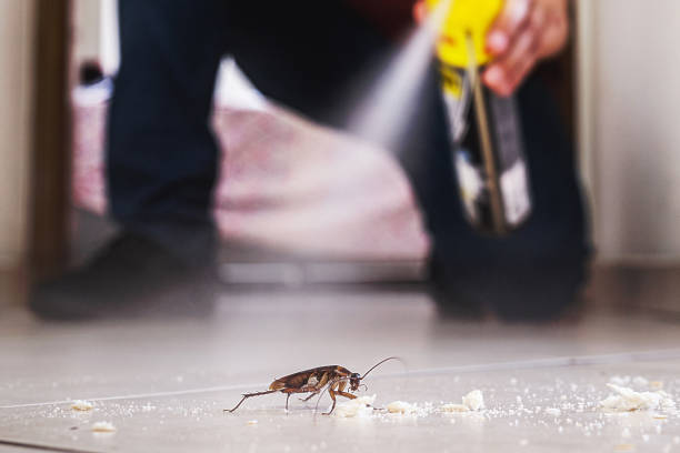 Best Cockroach Control Services  in Madison, IL