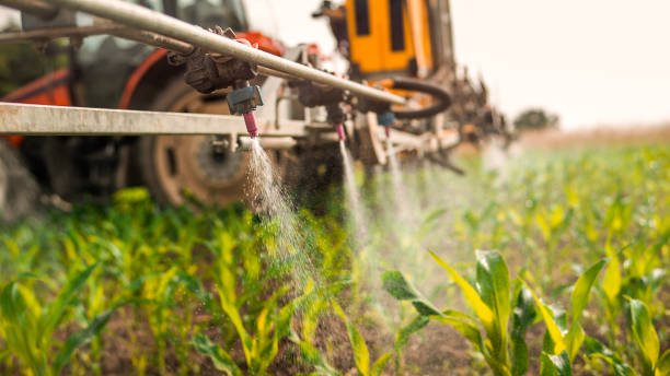 Pest Control Cost in Madison, IL